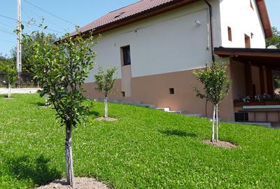 Se vinde casa individuala in satul Totea de Hurezani, judetul Gorj - 3
