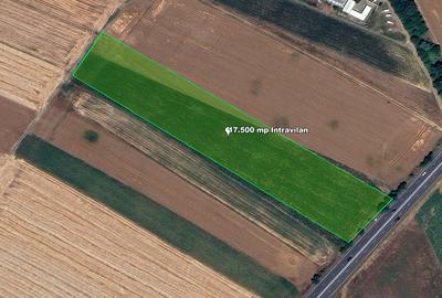 Extravilan, 17500 mp, Sag, Timis, DN69 - 1