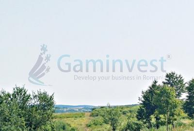 Teren Construcții intravilan de 2000 mp, în Săldăbagiu de Munte