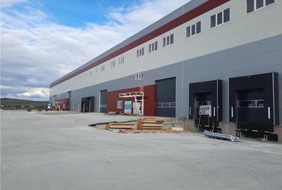 Spatiu Industrial - 3000 mp - Logistica - Productie - Depozitare - Distributie - 9