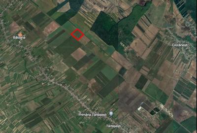 Teren agricol 13,5 hectare | Tartasesti | Ciocanesti | DB - 1
