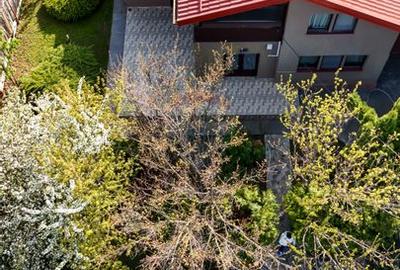 Casa / Vila teren 1058 mp Snagov | Strada Zorelelor | P+M - 37