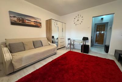 Apartament cu o camera Pod Piatra/Cantemir - 2