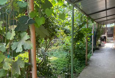Casa si teren zona teatrul Maior Gheorghe Pastia, Focsani, jud. Vrancea. - 2