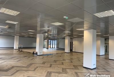 Birouri moderne 500mp, locatie ultracentral, piata Muzeului - 3