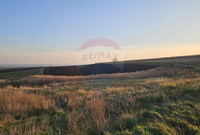 Teren agricol extravilan de 30077 mp, în Stroiești