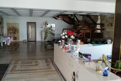 Vila unicat de inchiriat in Mamaia - 11