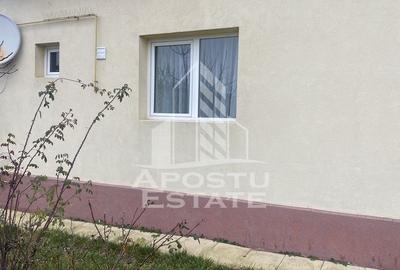 Casa individuala in Remetea Mare cu 1219 mp de teren - 17