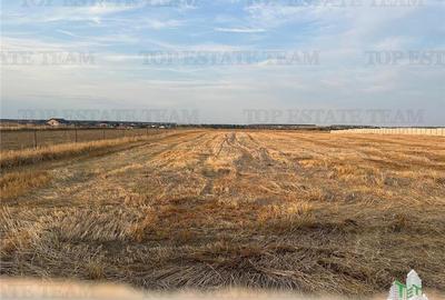 TEREN 2500MP BALACEANCA - 2