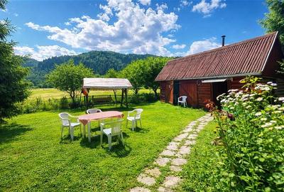 Tur 3D&FILM! Refugiu de vacanta, in pitorescul cadru: Lunca Bradului - 3