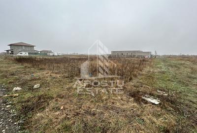 Teren 530  mp, de vanzare,  zona de case noi, zona PUZ Cosma, Sacalaz. - 2