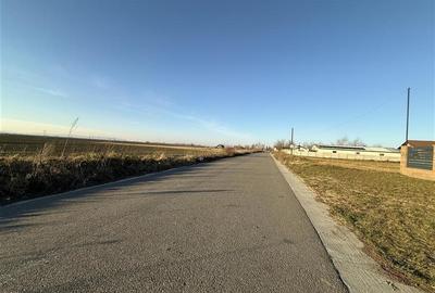 Letea Veche- Holt - 3.600mp - extravilan - 1