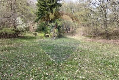 Poienita 2800mp, Covasna, zona hotel Clermont, inconjurat de padure - 8