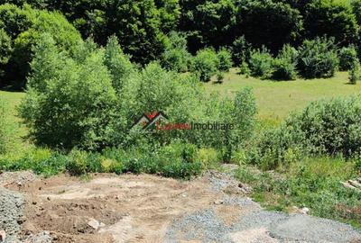 Duplex semifinisat 4 camere suprafata de 120 mp utili + 200 mp teren liber. - 20