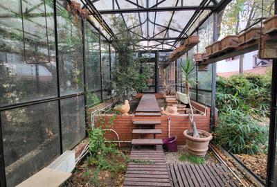 Vila lac snagov in cea mai buna portiune a lacului, ponton, garaj barca, piscina - 40