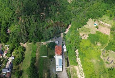 DE VANZARE Pensiune cu piscina, pastravarie, zona spa locatie de vis - 3