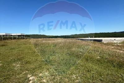 Teren 3,757mp Paltinoasa / Strada principala - 13