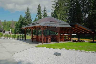 Hotel-Spa-Restaurant nou de Vânzare, 26 Camere, în Padiș, - 3