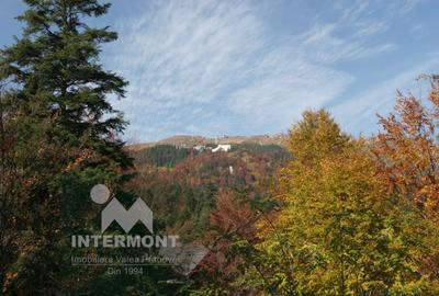 Teren Sinaia- Furnica - 1