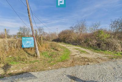 Casuță cu priveliște panoramică spre Cetatea Șiria - 28