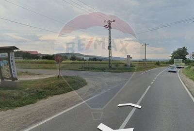 Teren de vanzare la DN2F Bacau-Vaslui la intrare in Traian si Bijghir - 5
