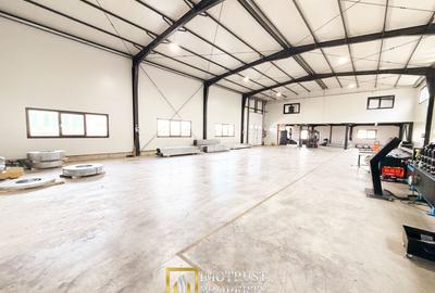 Hala industrială închirere – Vladimirescu, jud. Arad 500 mp - 3
