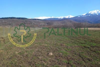 Vindem teren Sibiu, Valea Lupului, priveliste deosebita - 8