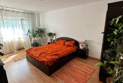 Apartament 1 camera Nicolina-Prima Statie, ETAJ 1, ideal investitie - 1