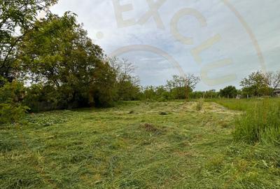 Teren intravilan Prundu - oportunitate excelentă de investiție! - 1