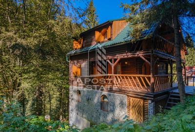 Pensiune, casa de vacanta, 6 camere, statiunea Rausor din Hunedoara - 21