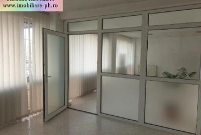 Spațiu comercial de inchiriat : Ultracentral - Stefan Greceanul - 3