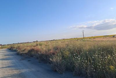 Corbu-faleza-loturi de 515mp - 6