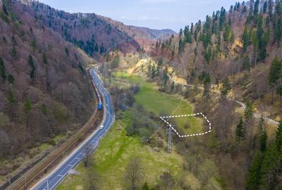 Teren 2,000mp Valea Timișului/ Râu/ COMISION 0% - 5