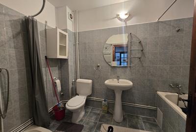 Utvin-Central-Vila S+P+E+M-360mp-2 accese-Garaj - 15