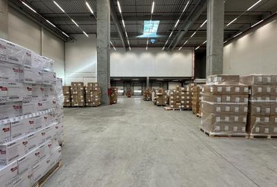 Spatiu depozitare Dragomiresti - Deal A1 , Km. 13,5 - 9
