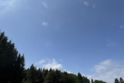 PREDEAL - Teren intravilan 6,000 m² -Poiana Secuilor - 10