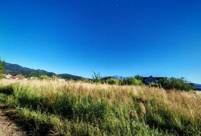 Teren Construcții intravilan de 1000 mp, în Cristian