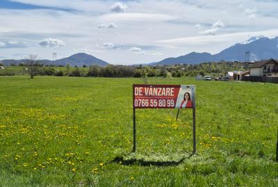 Teren intrare Bran, aproape de Penny, la Drumul European - 5