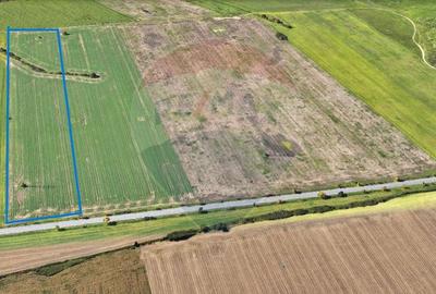 Teren comercial 5 ha, PUZ aprobat, acces direct Centura Nord Arad - 2