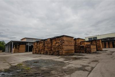 Hala industriala de 2700mp cu 3,1 ha teren intravilan in Miercurea Sibiului - 30