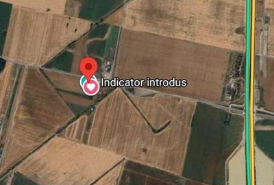 Teren de vanzare, Ordoreanu, Ferma de Struti, pret discutabil - 1