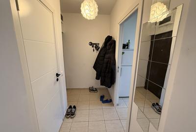 Apartament 2 camere, 45 mp, renovat, zona Eremia Grigorescu - 14