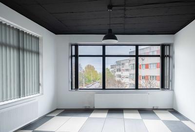 Spatiu comercial - zona Brotacei - 18