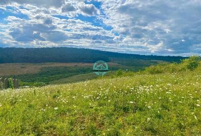 Vand teren intravilan cu suprafata 3300 mp in Livezeni - 2