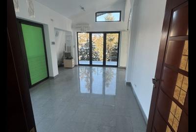 VANZARE VILA S+P+1+M  Baneasa - 2