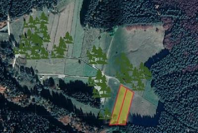 Teren intravilan - 5000 mp, Valea Doftanei - 1