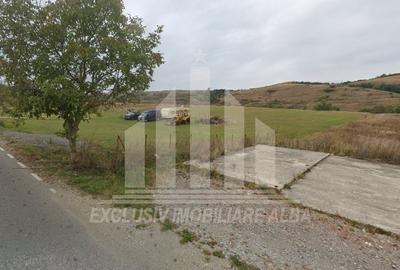 Teren extravilan | 5800 mp | aproape de Manastirea Prislop - 3