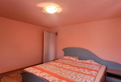 Casa+ hala,cu gradina si livada,Felecheriu,Osorhei,Bihor - 14