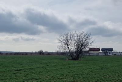 Loturi teren  construibil - 12