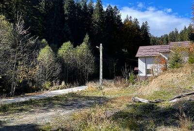 Teren intravilan Predeal - 2